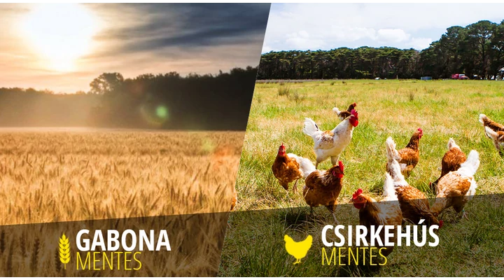 Mit jelent az, hogy egy táp „grain free” vagy a „csirkehús mentes”?