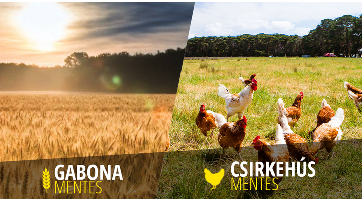 Mit jelent az, hogy egy táp „grain free” vagy a „csirkehús mentes”?